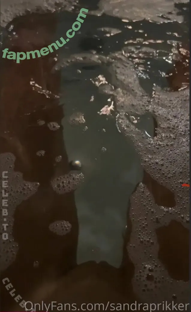 Sandra Prikker nude photo #0237 (sandraprikker)