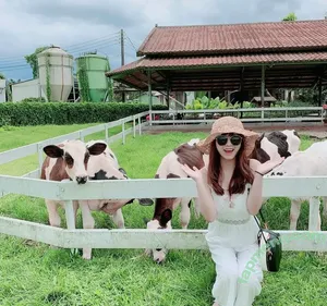 Sandyi01314 nude photo #0027