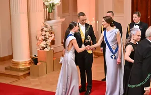 Sanna Marin / Finnish Prime Minister: / sannamarin nude photo #0614