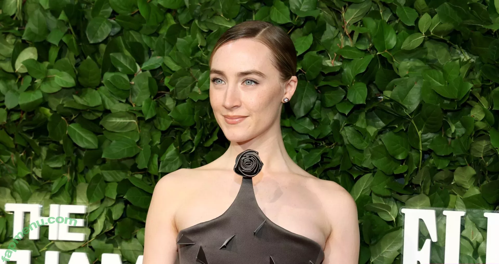 Saoirse Ronan nude photo #0465 (ronan.saoirse)