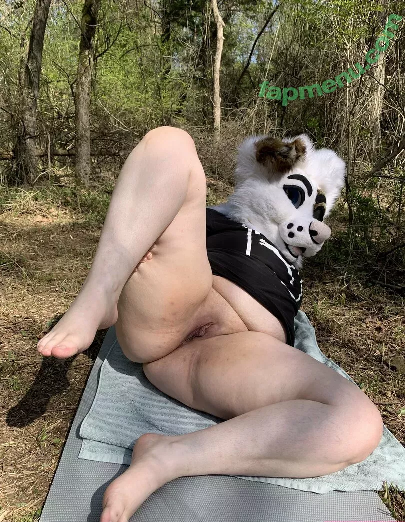 saoirsemutt nude photo #0089 (therealpineapplefox)