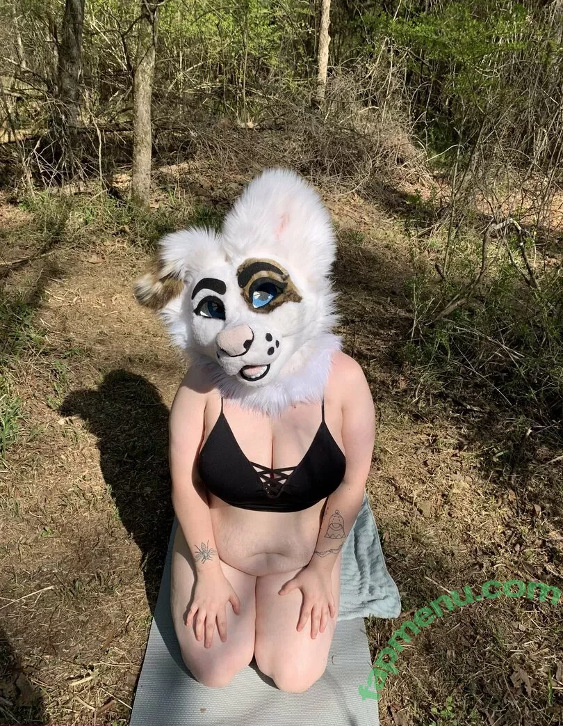 saoirsemutt nude photo #0093 (therealpineapplefox)