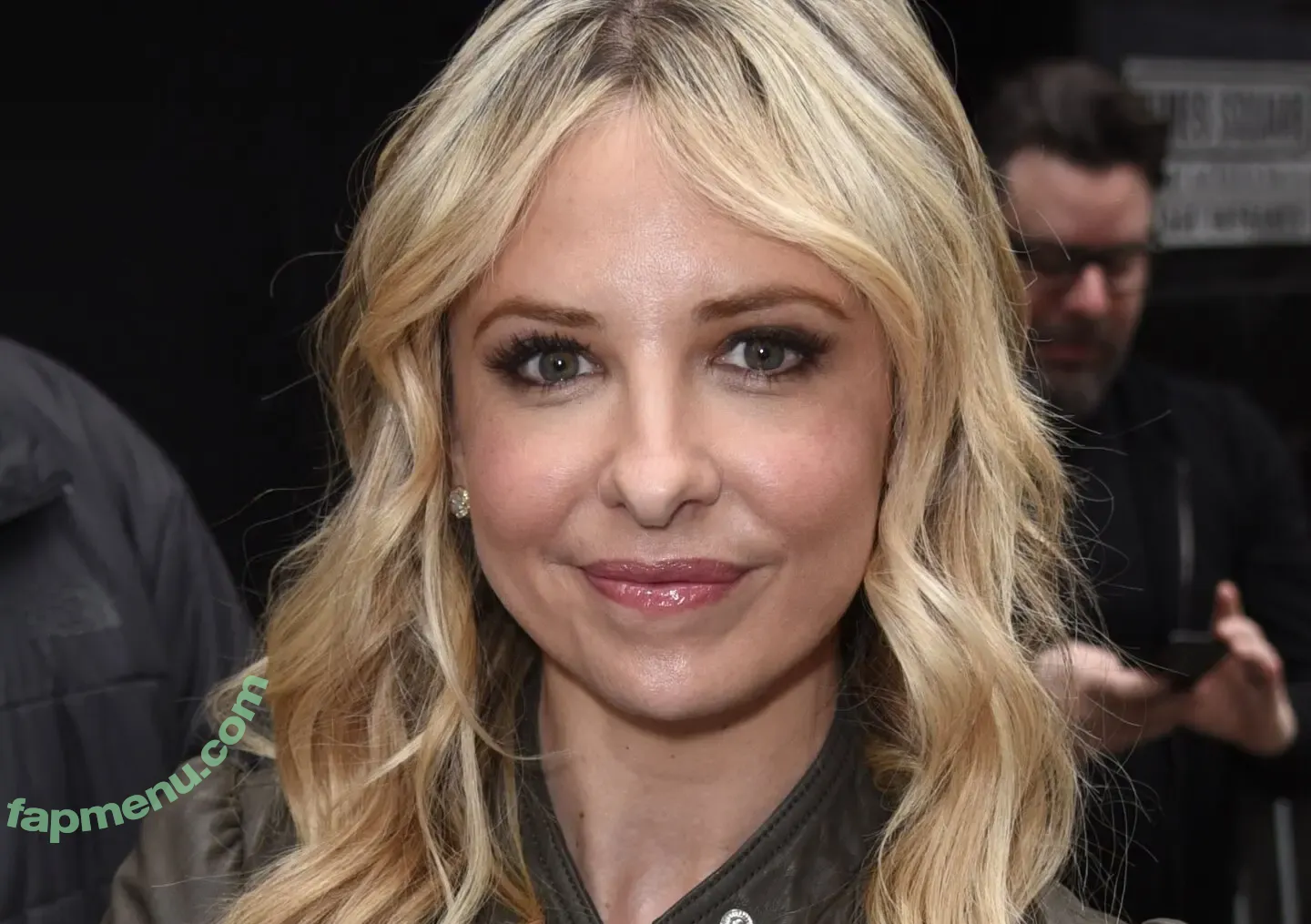 Sara Michelle nude photo #0009 (Sara Michelle)