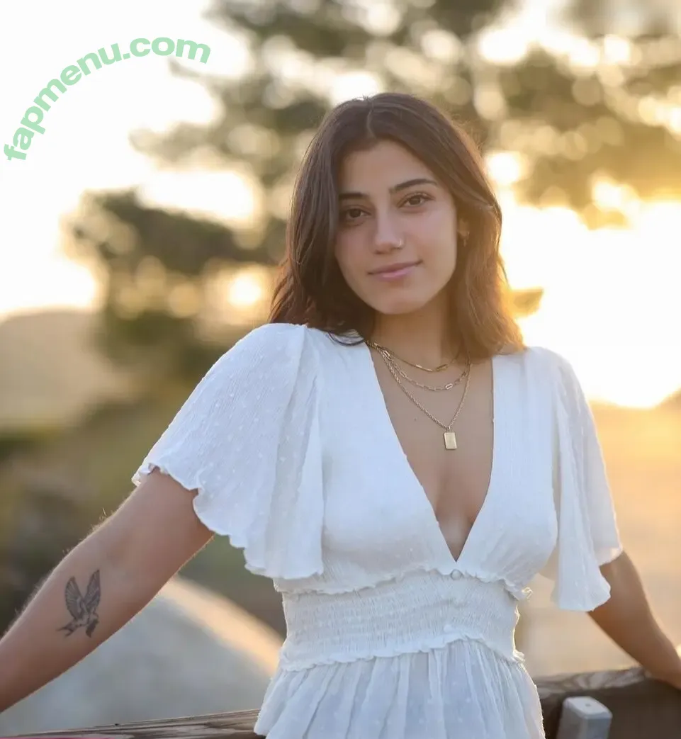 Sara Saffari nude photo #0729 (sarasaffari__)