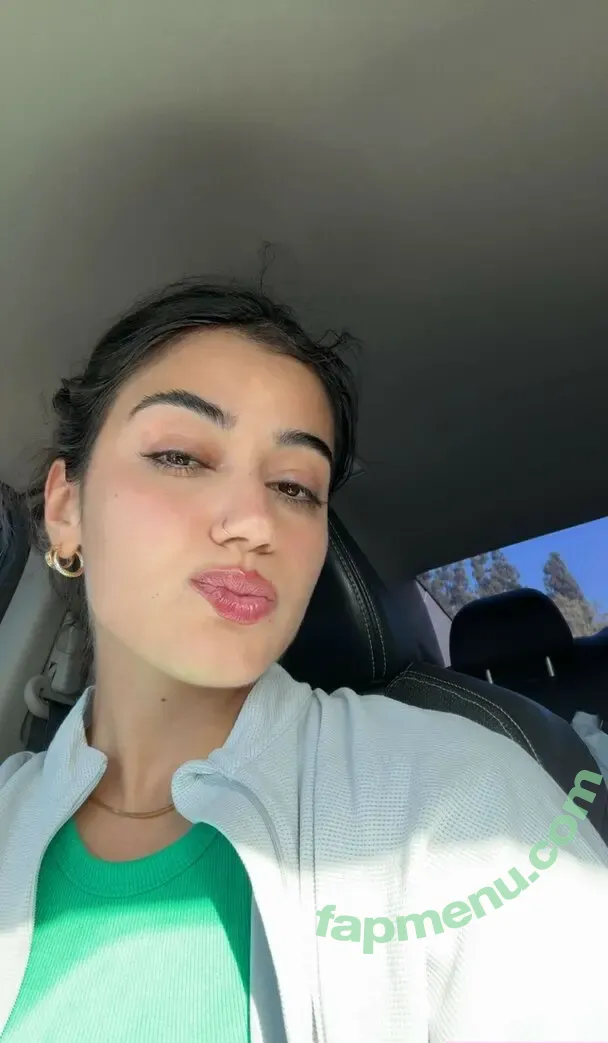 Sara Saffari nude photo #0770 (sarasaffari__)