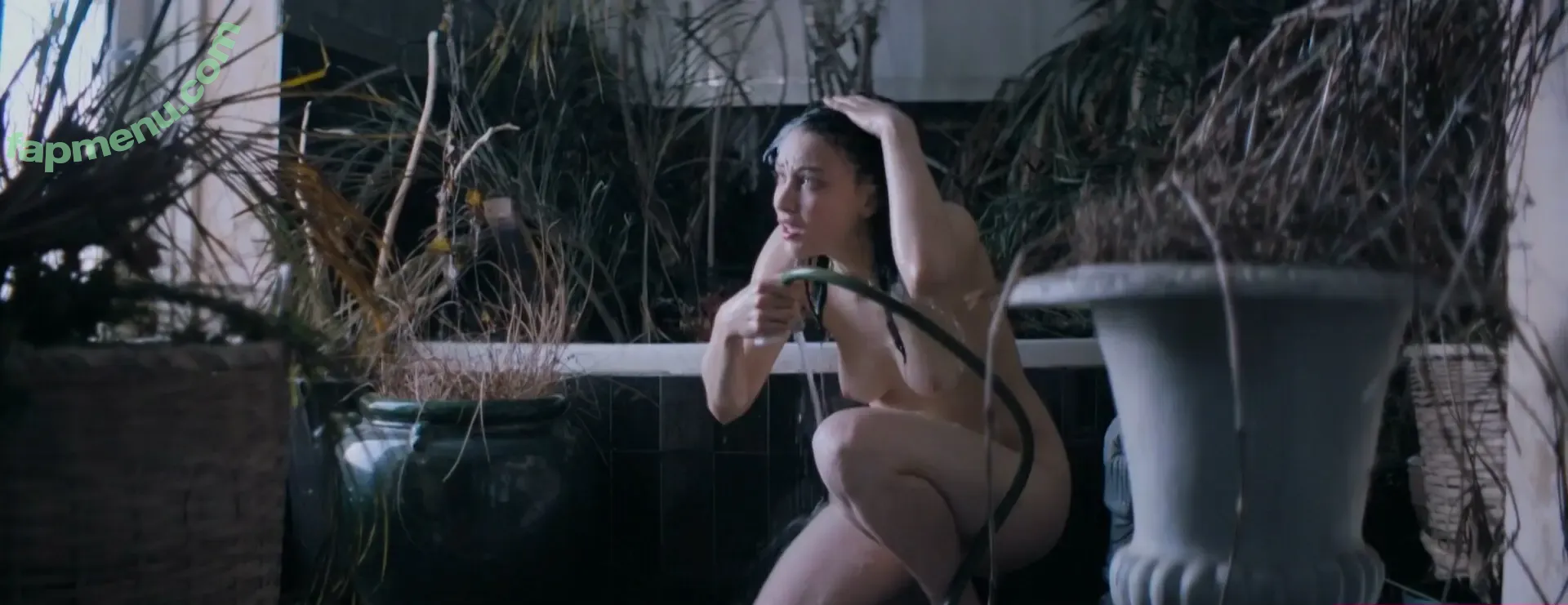 Sarah Gadon nude photo #0063 (sarahgadon)