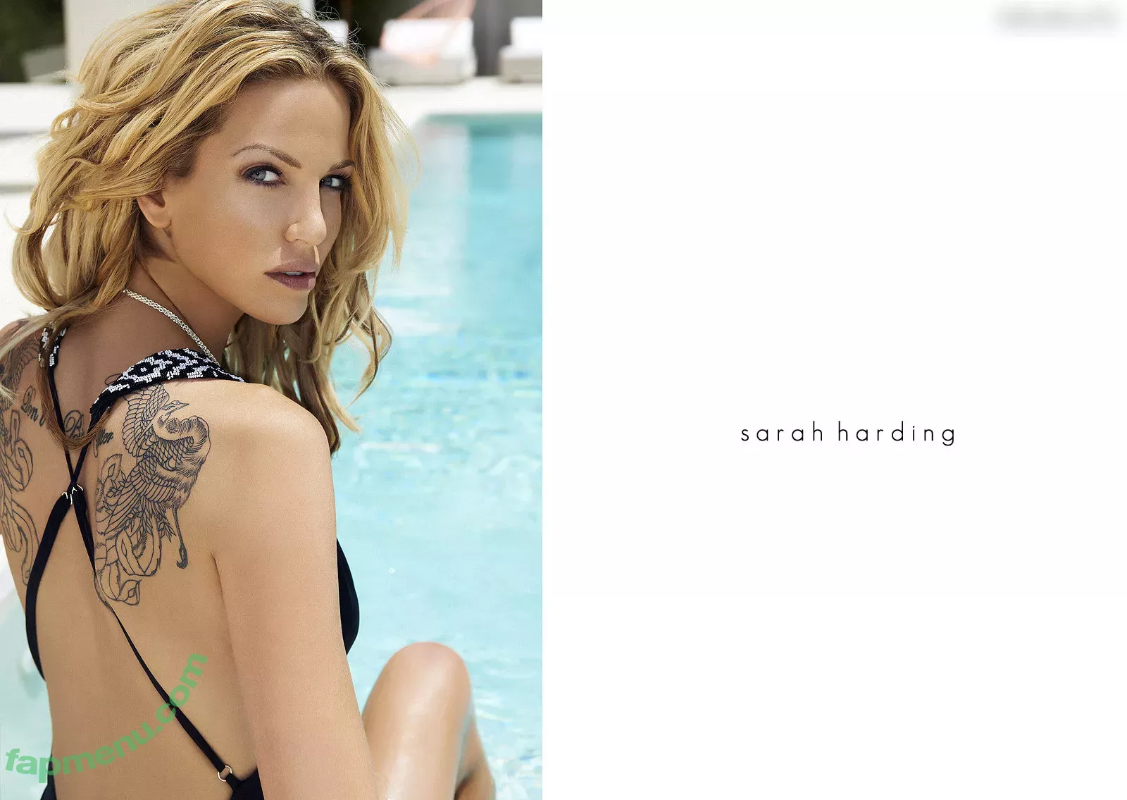 Sarah Harding nude photo #0165 (sarahnicoleharding)