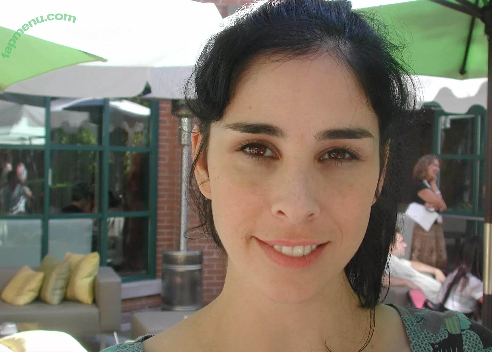 Sarah Silverman nude photo #0145 (dailyxdesiresx / sarahkatesilverman)