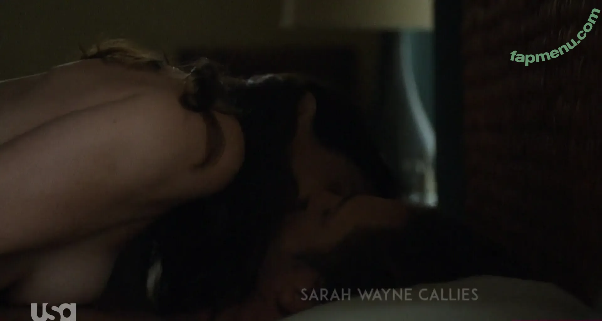 Sarah Wayne Callies nude photo #0073 (sarahwaynecallies)