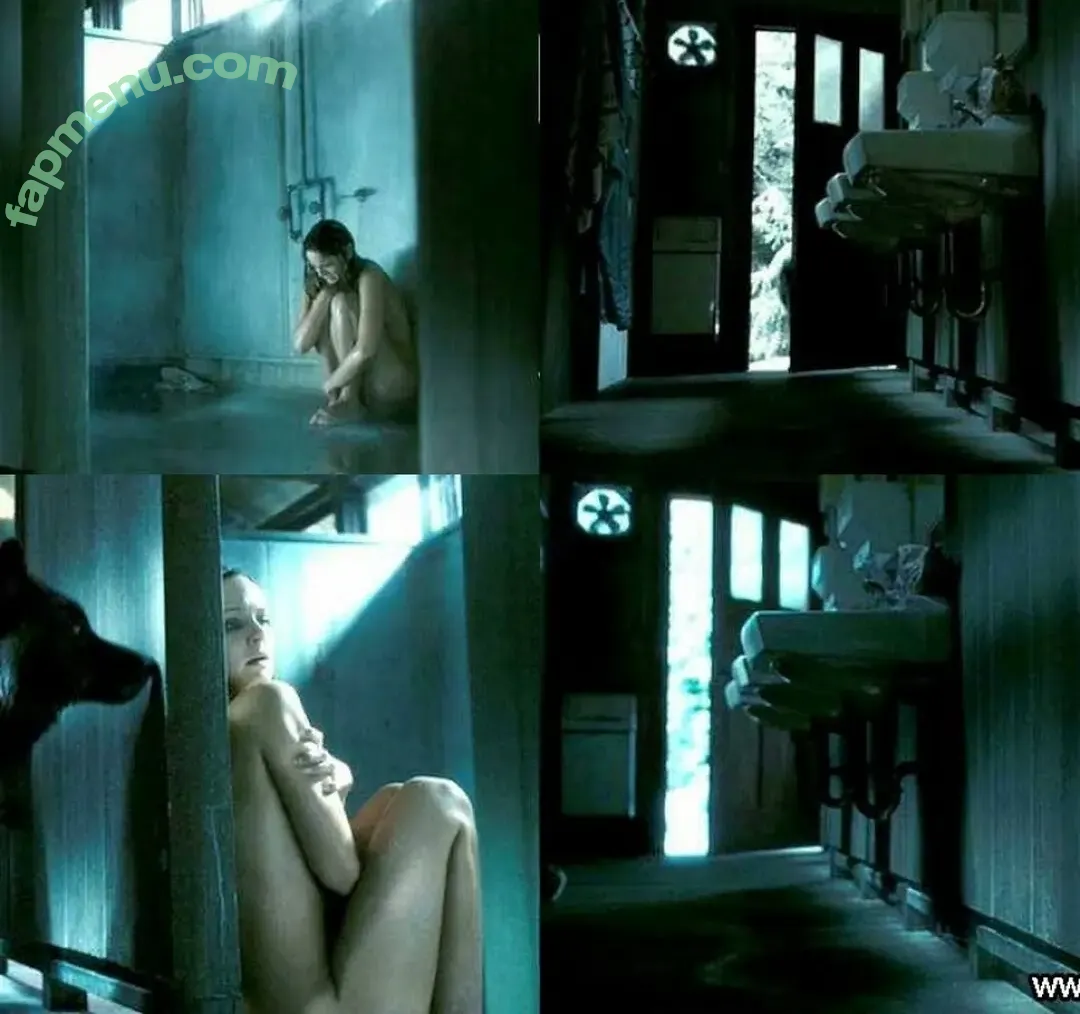 Sarah Wayne Callies nude photo #0077 (sarahwaynecallies)