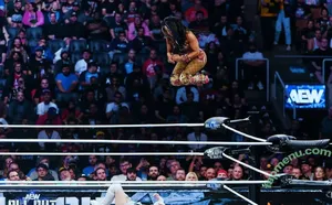 Sasha Banks / sashabankswwe / soxysasha nude photo #2026