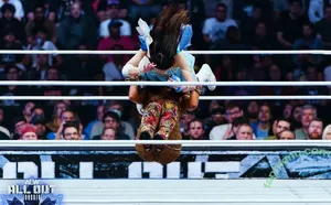 Sasha Banks / sashabankswwe / soxysasha nude photo #2028