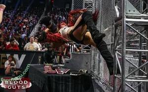 Sasha Banks / sashabankswwe / soxysasha nude photo #2348