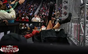 Sasha Banks / sashabankswwe / soxysasha nude photo #2350