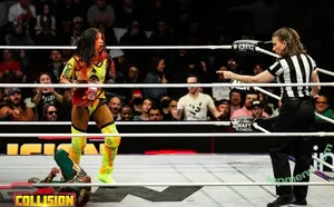 Sasha Banks / sashabankswwe / soxysasha nude photo #2433