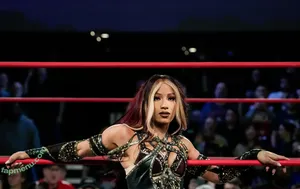 Sasha Banks / sashabankswwe / soxysasha nude photo #2559