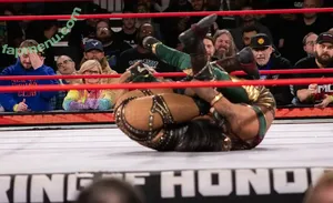 Sasha Banks / sashabankswwe / soxysasha nude photo #2628