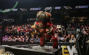 Sasha Banks / sashabankswwe / soxysasha nude photo #2784