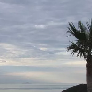 Sasha Grey / sashagrey / sashathegreyt nude photo #0838