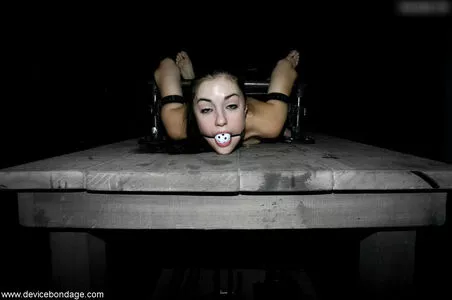 Sasha Grey / sashagrey / sashathegreyt nude photo #1384