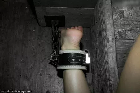 Sasha Grey / sashagrey / sashathegreyt nude photo #1394