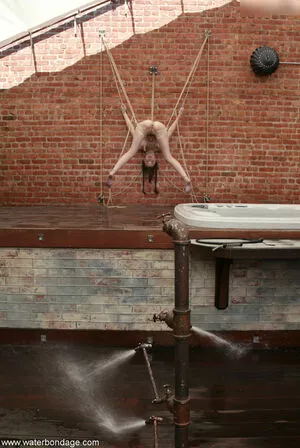 Sasha Grey / sashagrey / sashathegreyt nude photo #1537