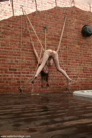 Sasha Grey / sashagrey / sashathegreyt nude photo #1538