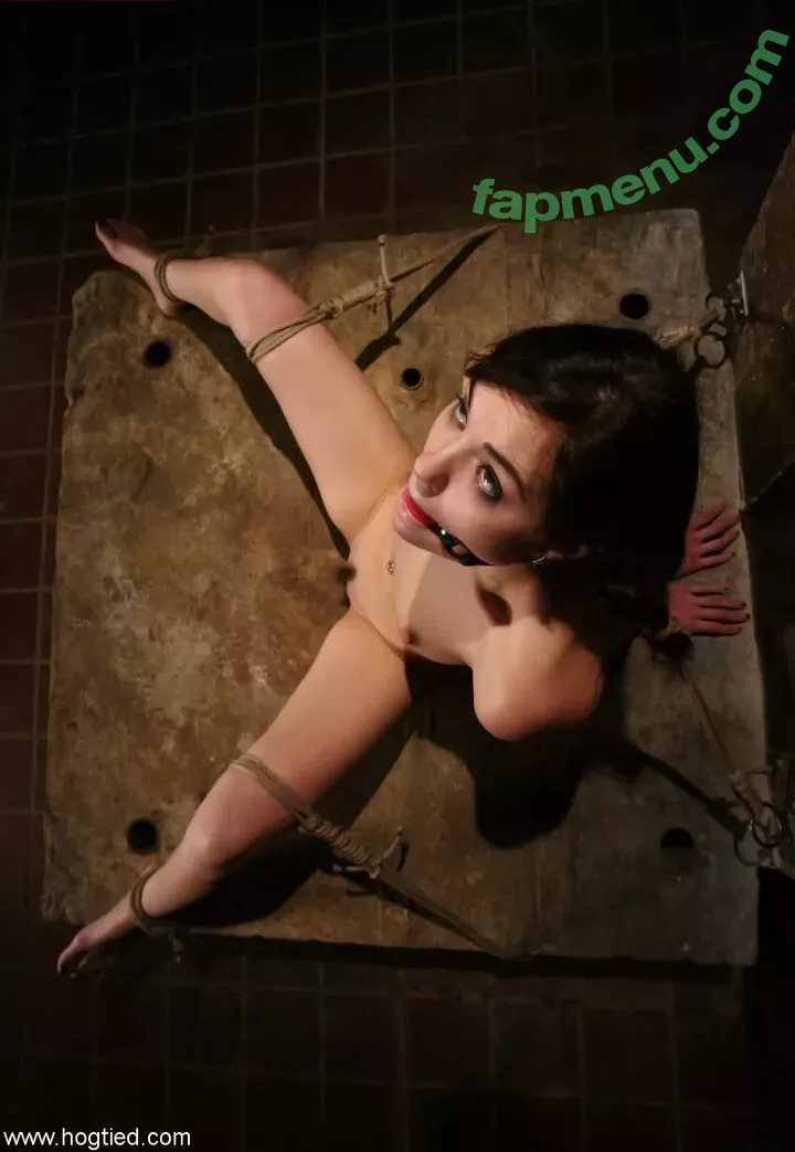 Sasha Grey nude photo #1502 (sashagrey / sashathegreyt)