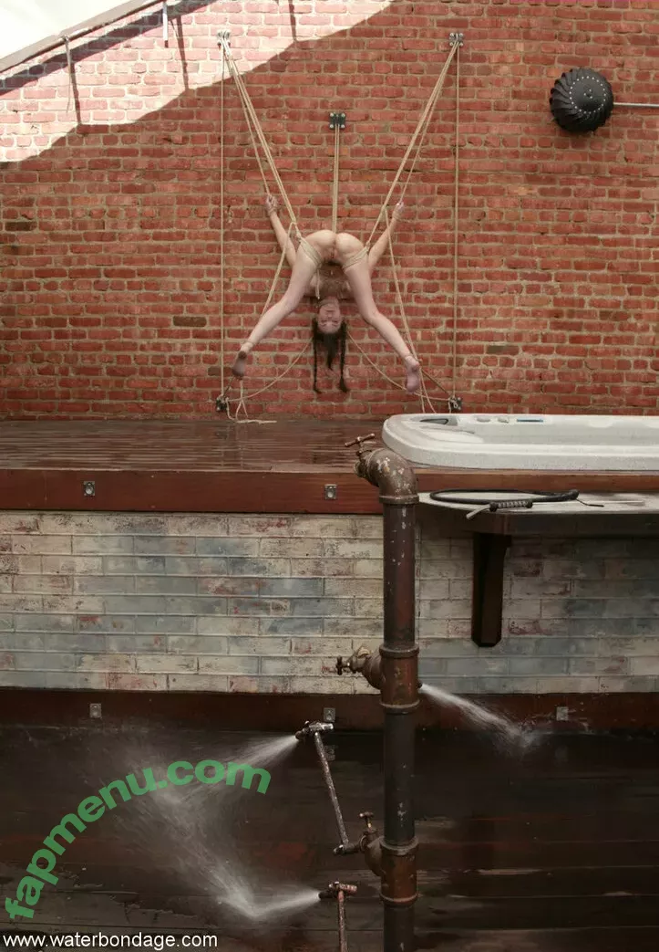 Sasha Grey nude photo #1537 (sashagrey / sashathegreyt)