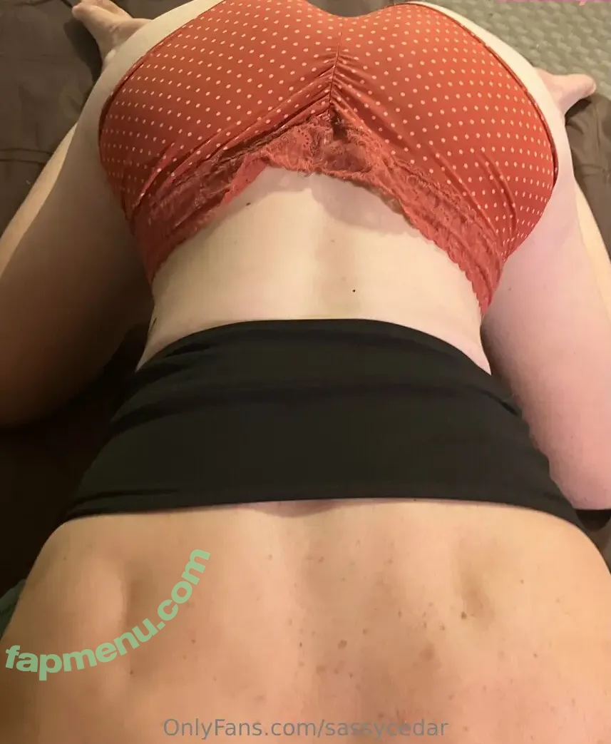 sassycedar nude photo #0003 (sassy.cedar)