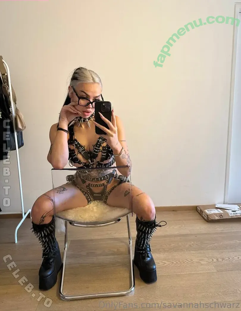 SavannahSchwarz nude photo #0031 (diesavannahschwarz)