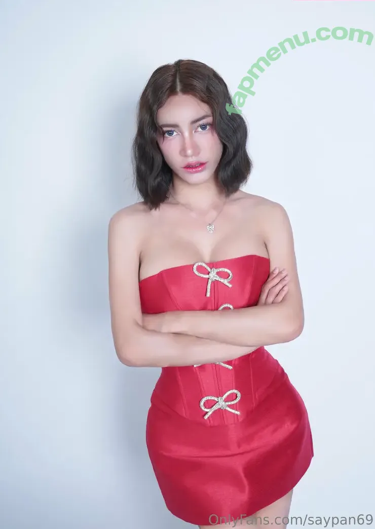saypan69 nude photo #0017 (saysana69)
