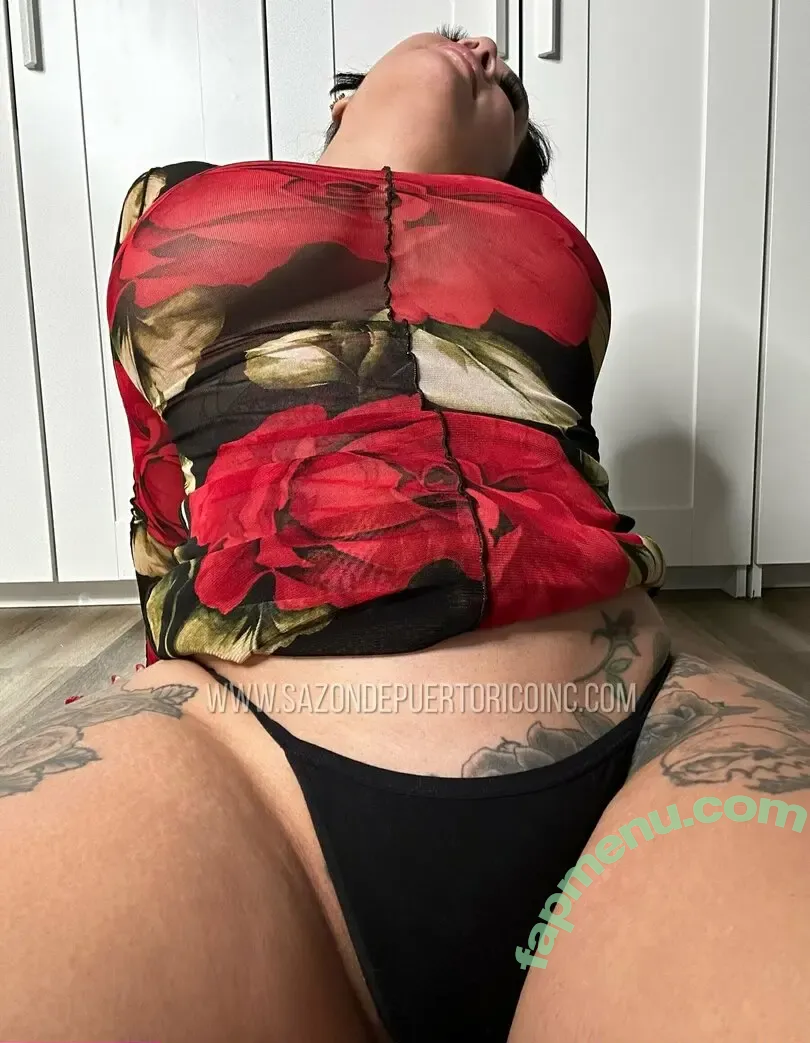 sazondepuertoricoinc nude photo #0012 (sazondepuertorico)