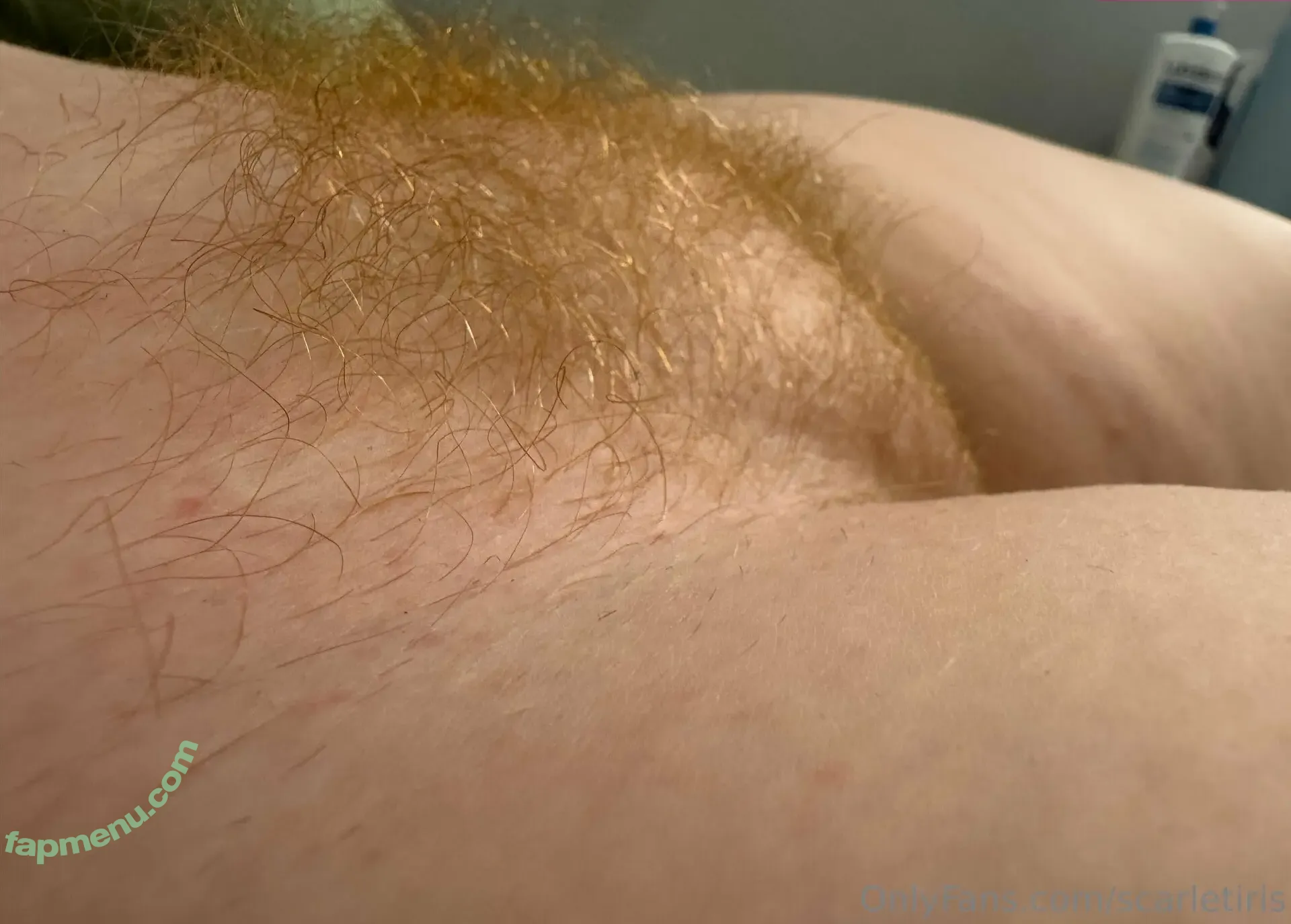 Scarletiris nude photo #0017 (scarletirisband)