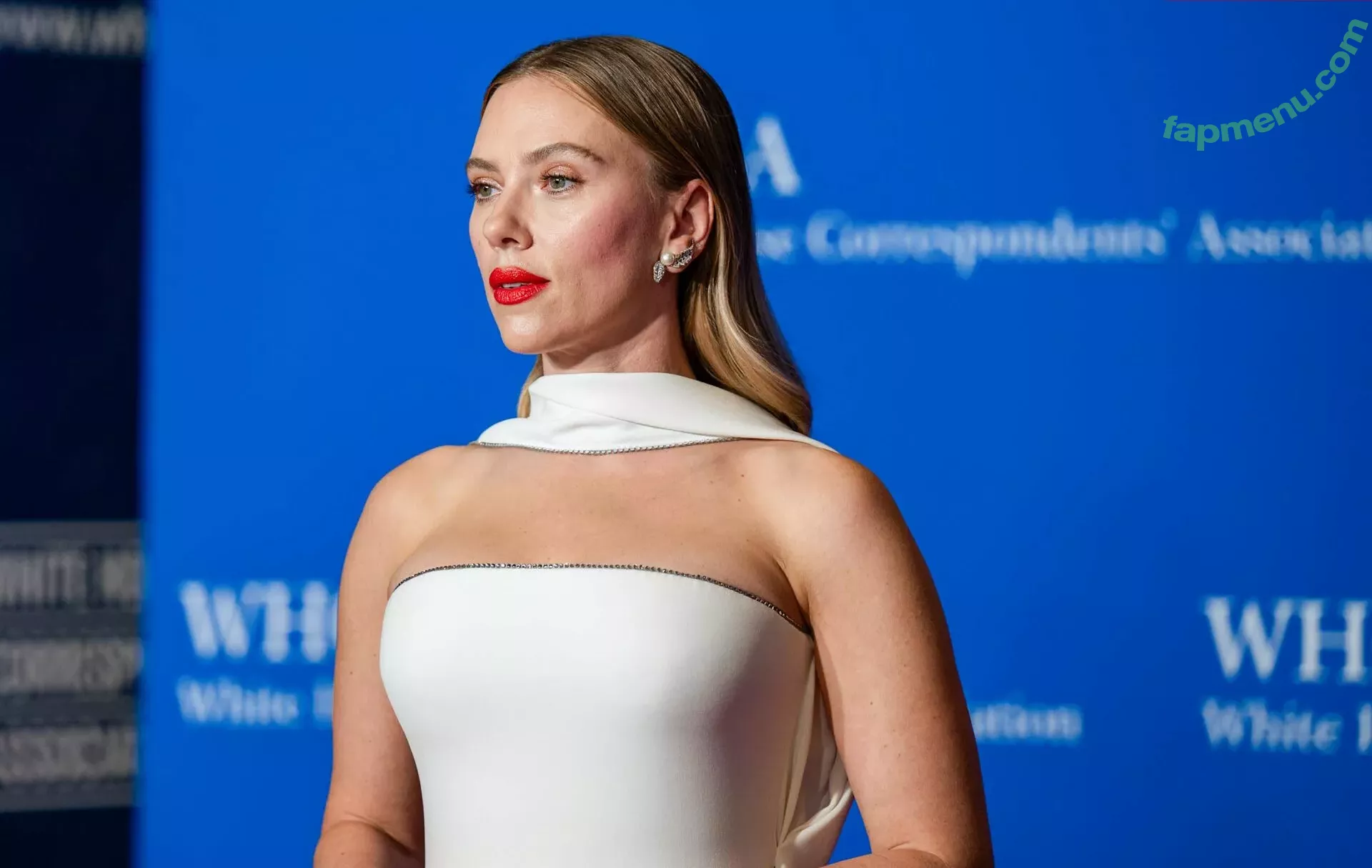 Scarlett Johansson nude photo #2665 (scarlettjohanson / scarlettjohanssonworld)