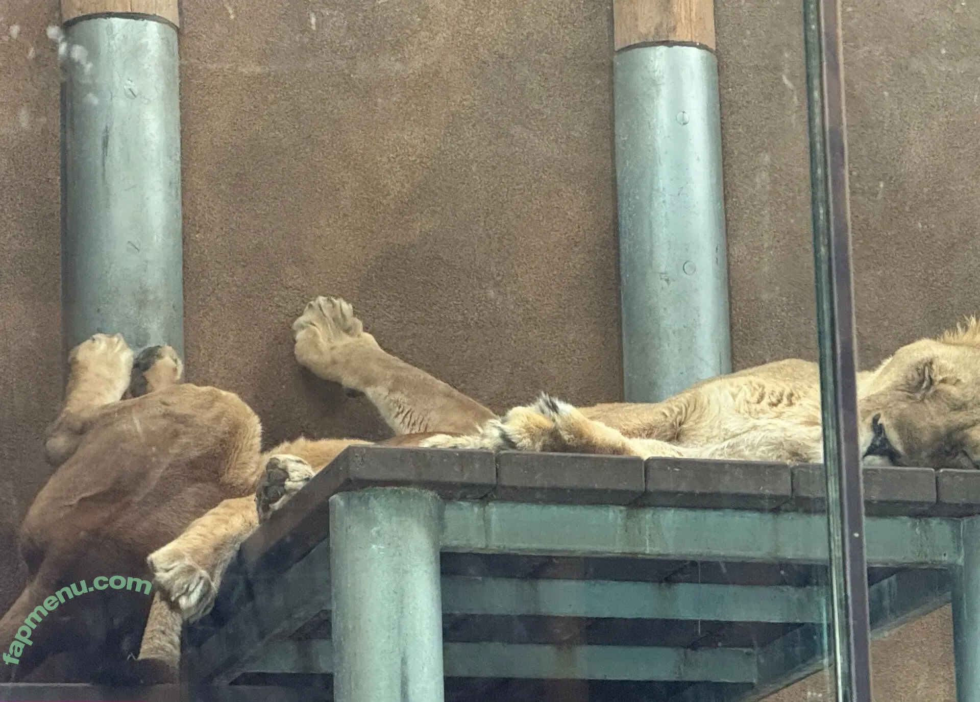 scarletwolf666 nude photo #0024 (scarletwolf666)