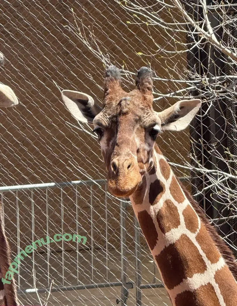 scarletwolf666 nude photo #0026 (scarletwolf666)