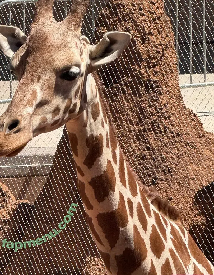 scarletwolf666 nude photo #0027 (scarletwolf666)