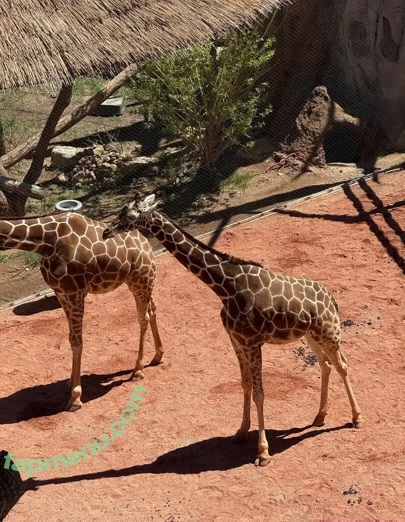 scarletwolf666 nude photo #0029 (scarletwolf666)