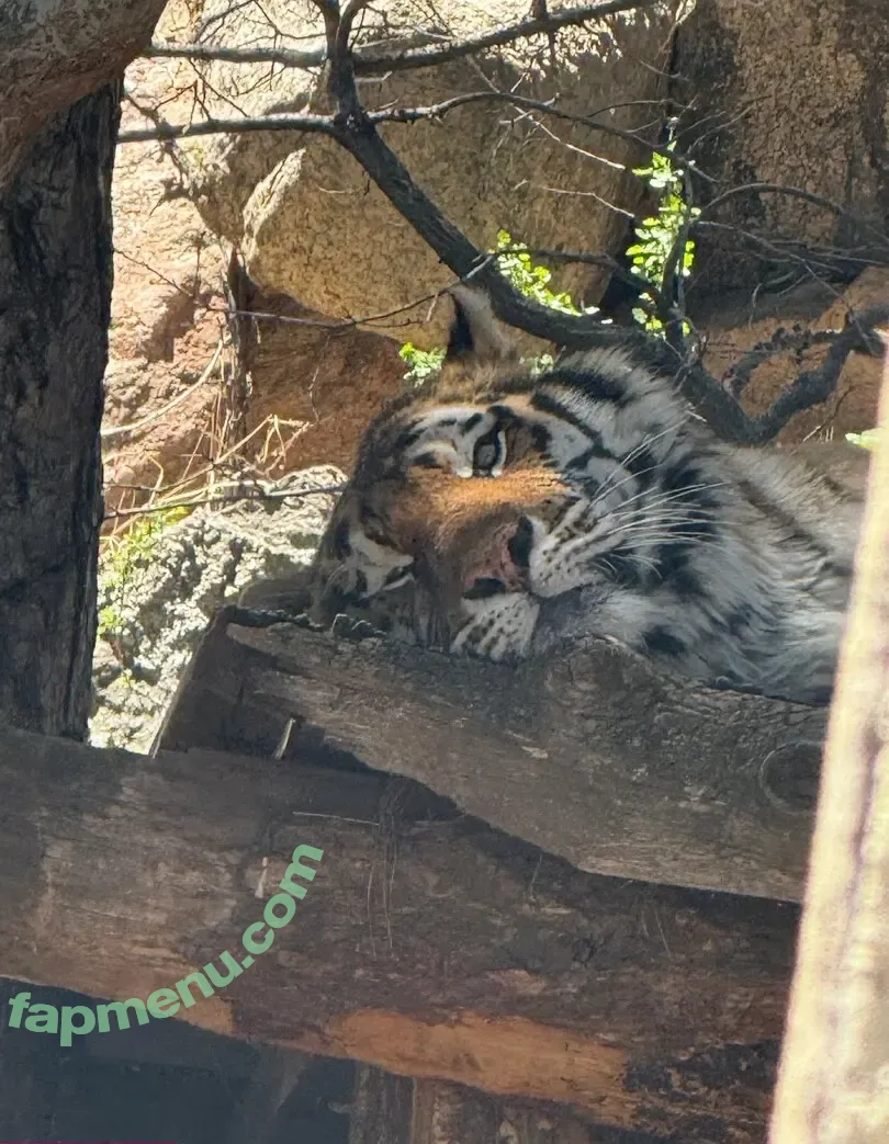 scarletwolf666 nude photo #0030 (scarletwolf666)