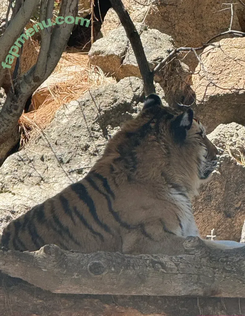 scarletwolf666 nude photo #0031 (scarletwolf666)