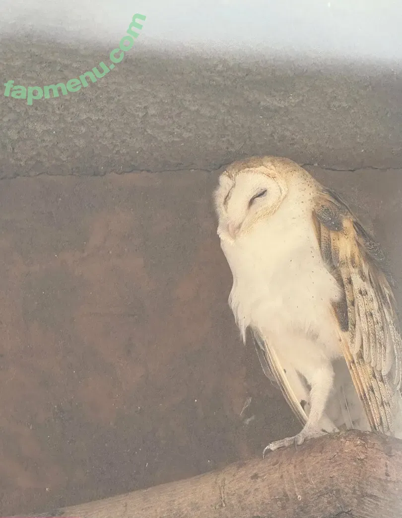 scarletwolf666 nude photo #0033 (scarletwolf666)