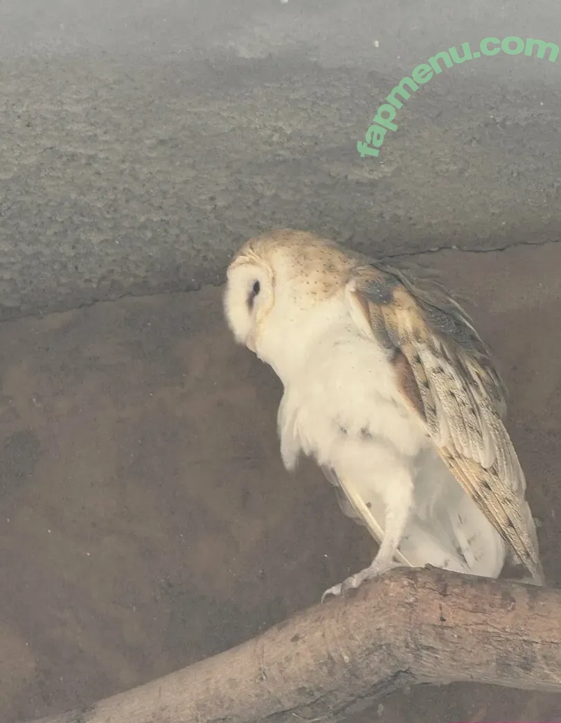 scarletwolf666 nude photo #0034 (scarletwolf666)