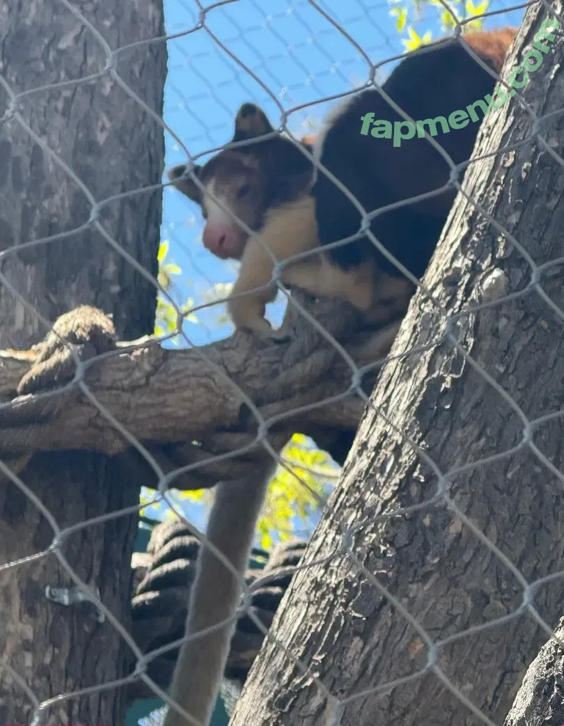 scarletwolf666 nude photo #0035 (scarletwolf666)