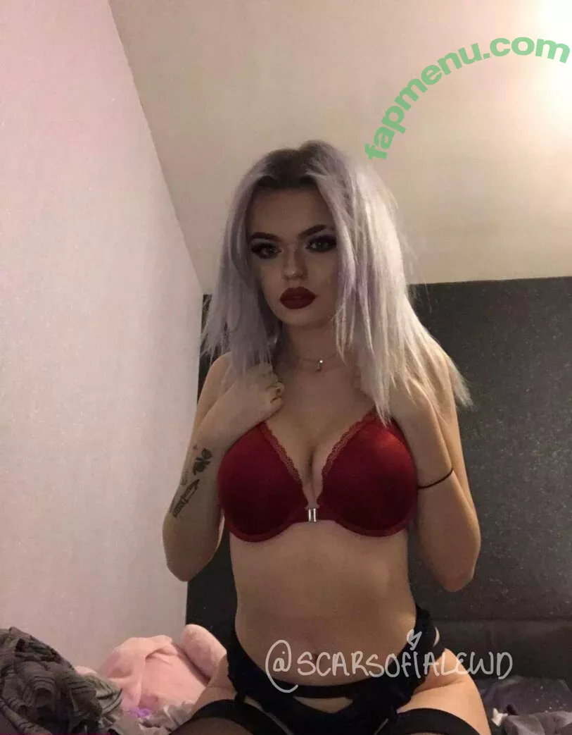 scarsofialewd nude photo #0065 (scar_wolfo_)