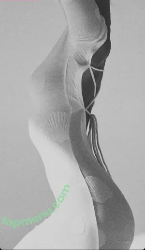 Schassi / Rimma Happy / Rimma Schastlivaya / schaassi / shashiuwu nude photo #0017