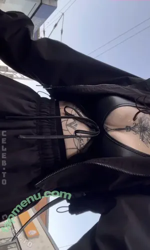 schweinenuttenfotzenscheisse / schweinenttenftzenscheisse / snfs.x / snfsx nude photo #0090