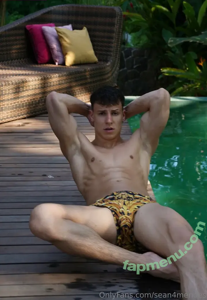 sean4mendes nude photo #0047 (sean4mendes)