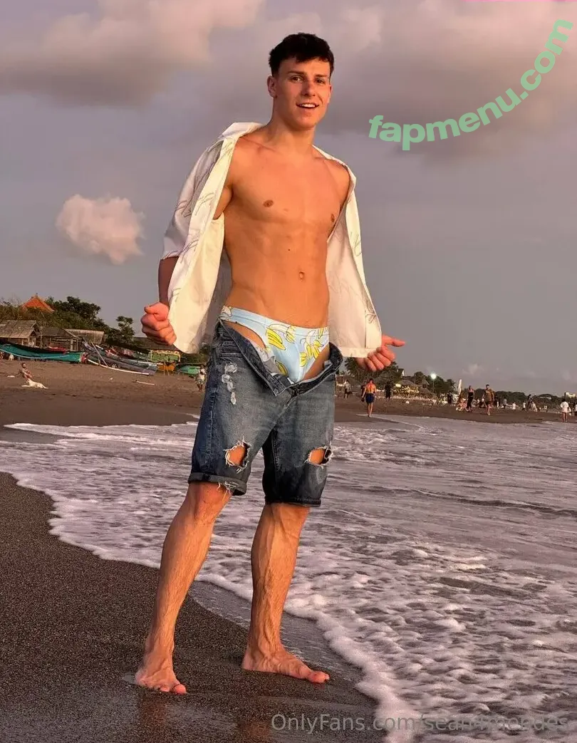 sean4mendes nude photo #0067 (sean4mendes)