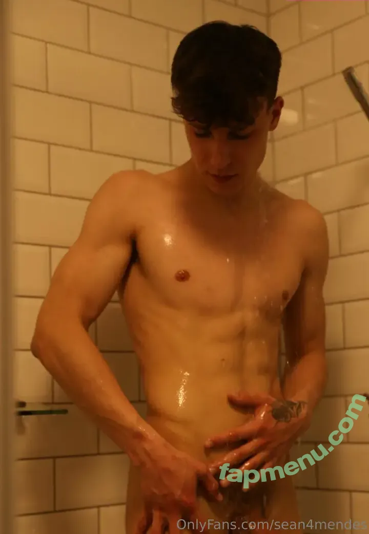 sean4mendes nude photo #0079 (sean4mendes)